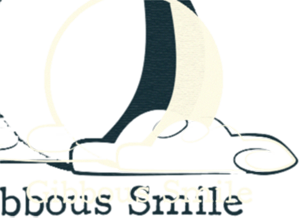 Gibbous Smile: Lindsey Carlson's Portfolio